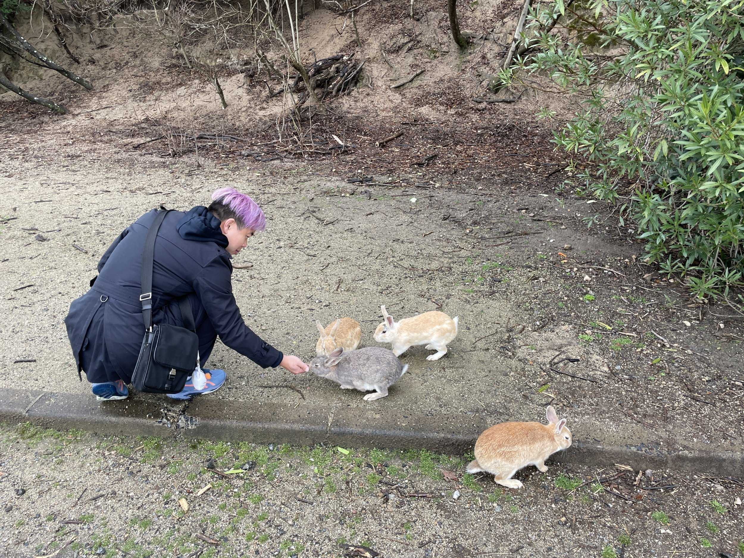🏞️ 미로쿠 자연공원(미로쿠시젠코엔) 이미지 4